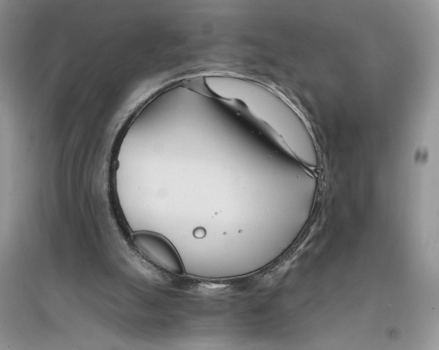 X0000096200055200802151534