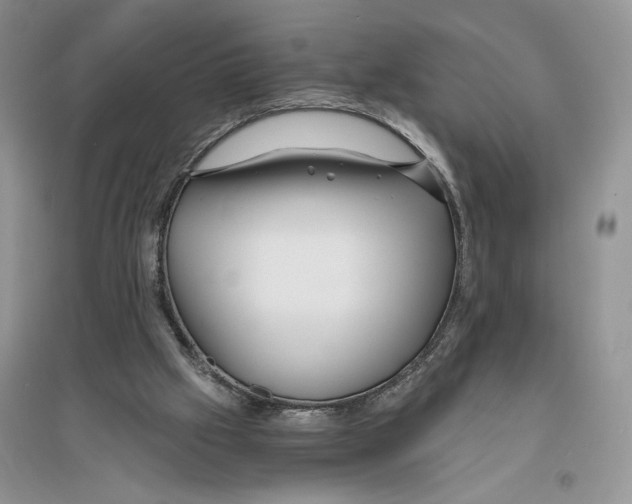 X0000096200057200802151534