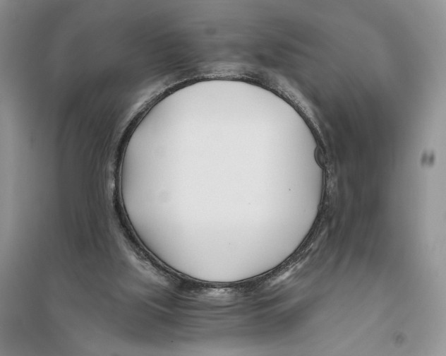 X0000096200059200802151534