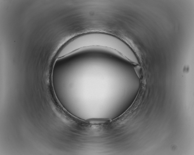 X0000096200060200802151534