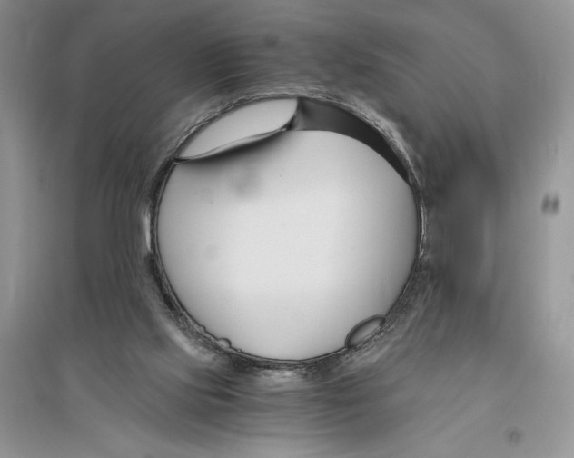 X0000096200061200802151534