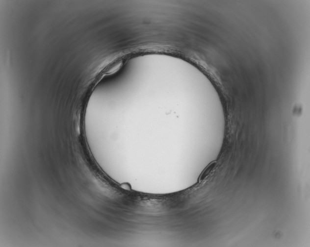 X0000096200062200802151534