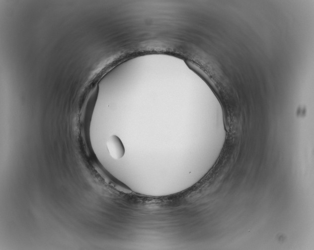 X0000096200064200802151535