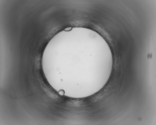 X0000096200065200802151535