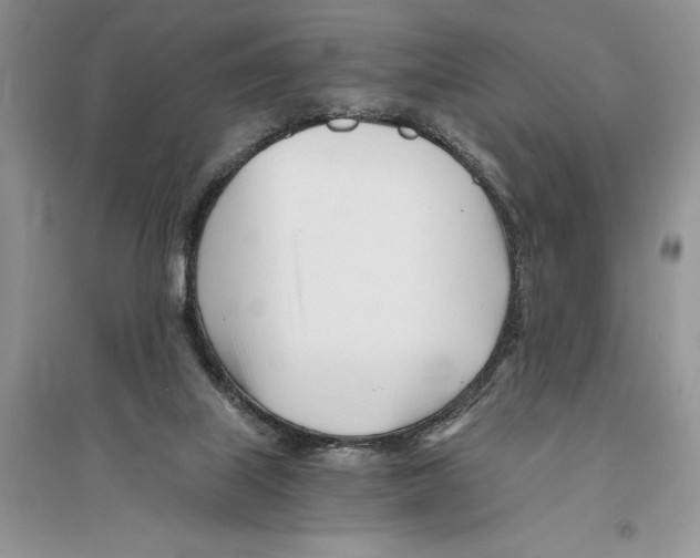 X0000096200067200802151535