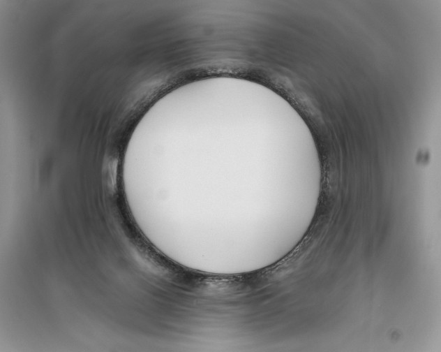 X0000096200070200802151535