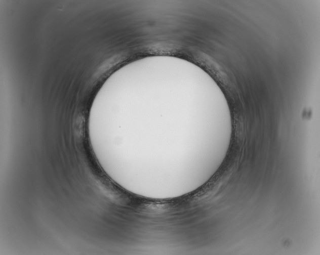 X0000096200071200802151535