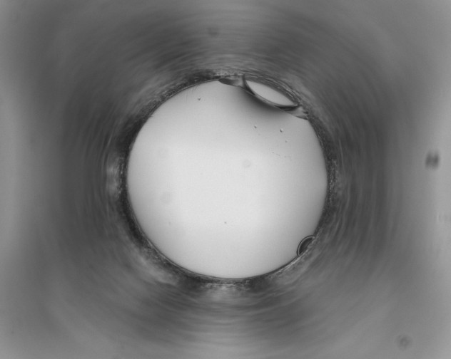 X0000096200074200802151535