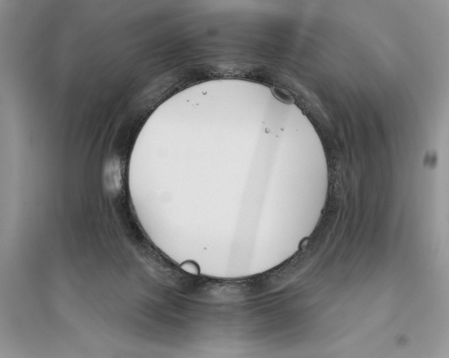 X0000096200075200802151535