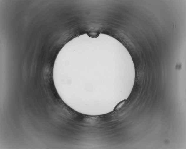 X0000096200079200802151535