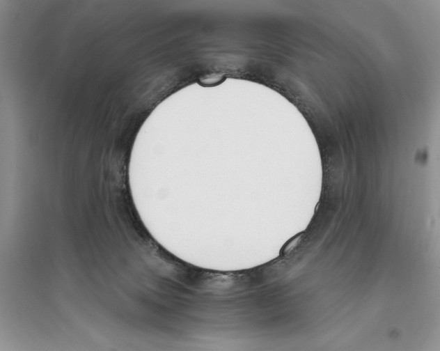 X0000096200083200802151535