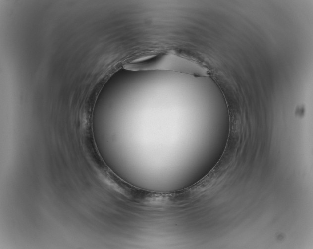 X0000096200084200802151535