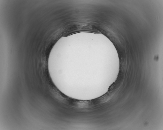 X0000096200085200802151535