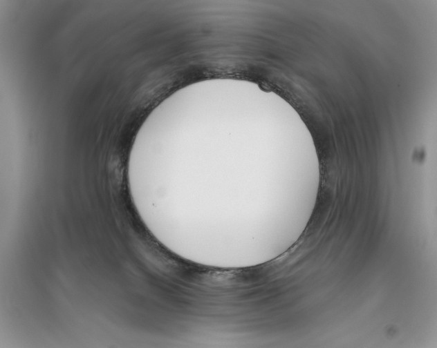 X0000096200086200802151535