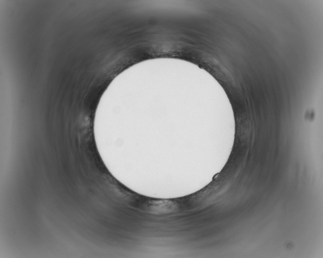 X0000096200087200802151535