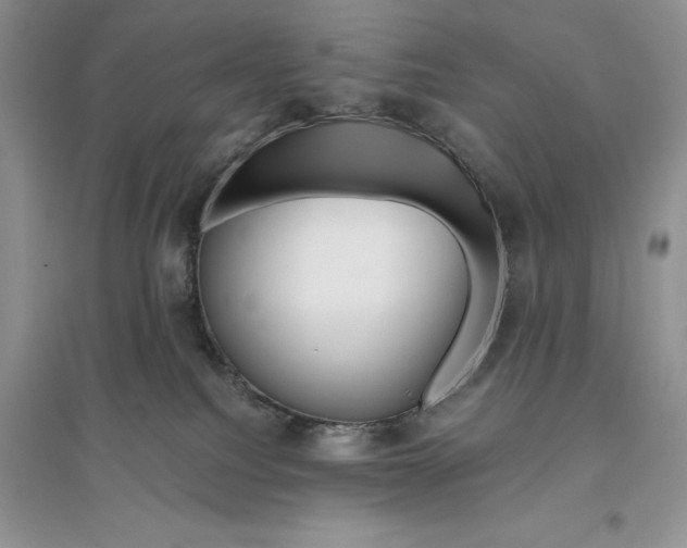 X0000096200088200802151535