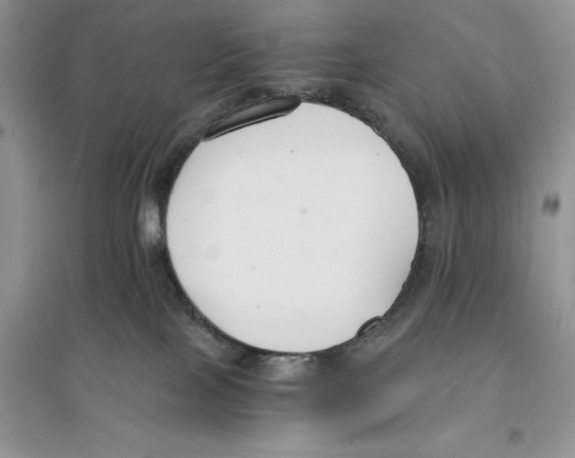 X0000096200089200802151535