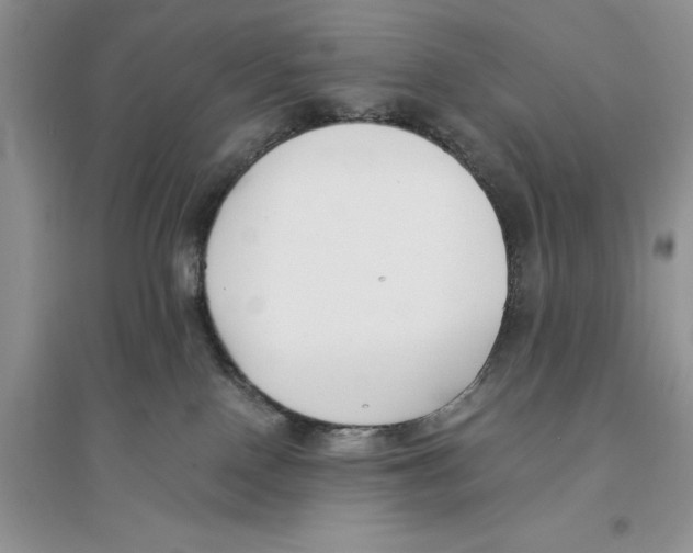 X0000096200090200802151535