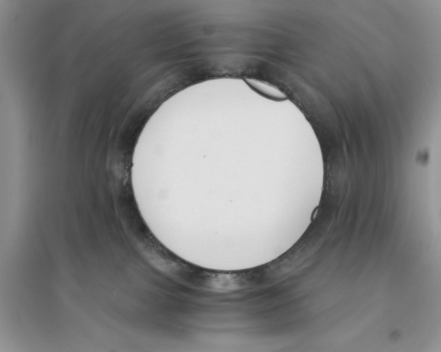 X0000096200091200802151535