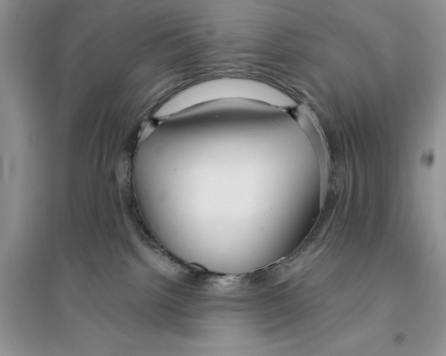 X0000096200092200802151535