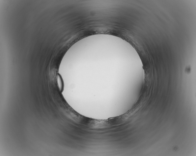 X0000096200093200802151535