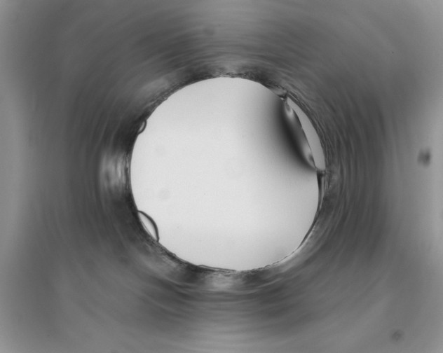 X0000096200094200802151535