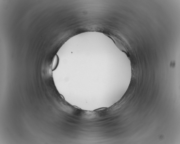 X0000096200095200802151535