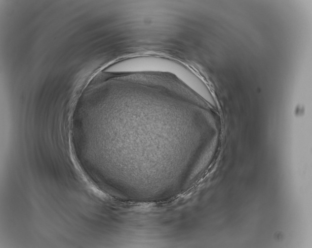 X0000096200097200802151534