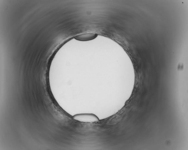 X0000096200098200802151534