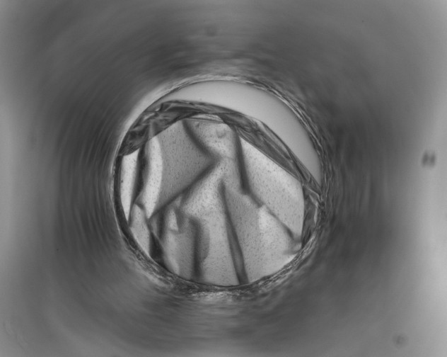 X0000096200100200802151534