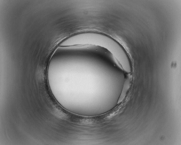 X0000096200105200802151534