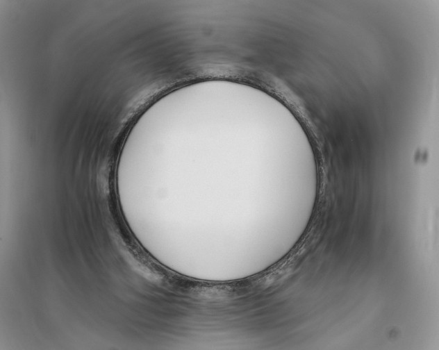 X0000096200106200802151534