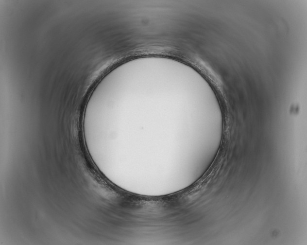 X0000096200107200802151534