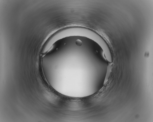 X0000096200108200802151534