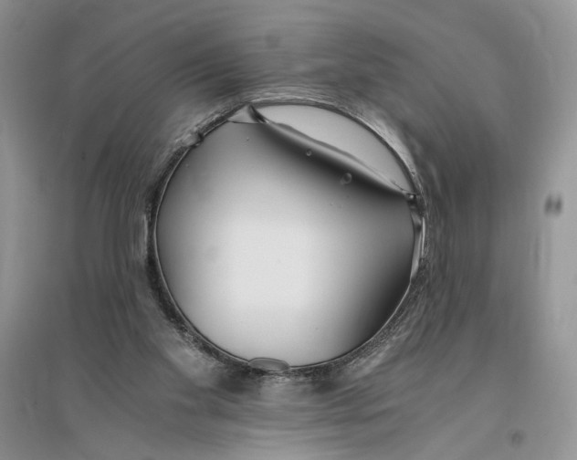 X0000096200109200802151534