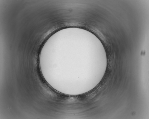 X0000096200111200802151534