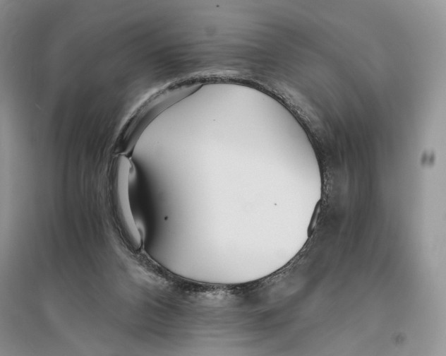 X0000096200112200802151534