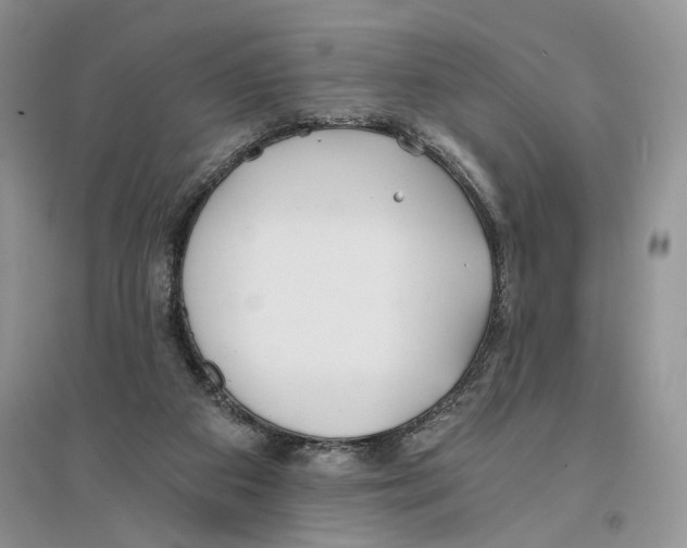 X0000096200113200802151534