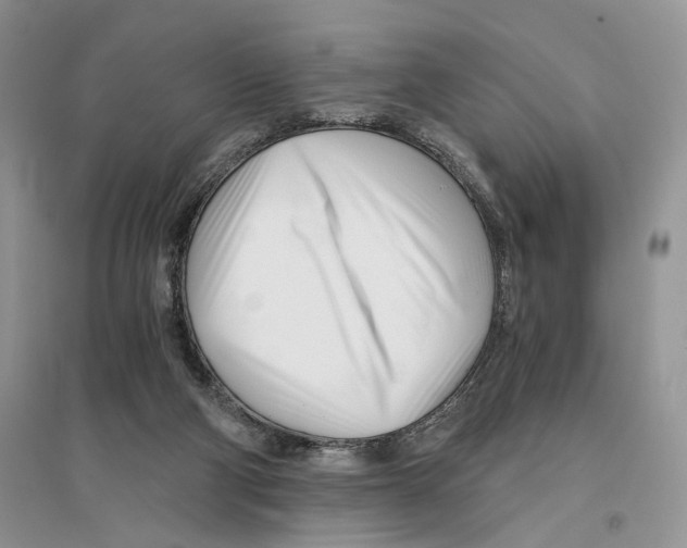 X0000096200114200802151534