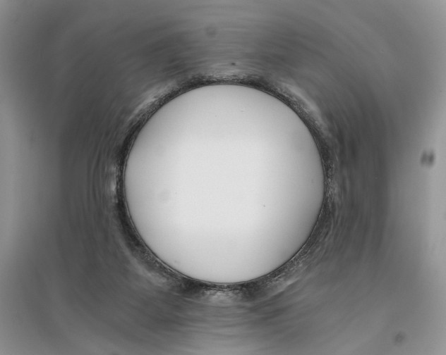 X0000096200115200802151534