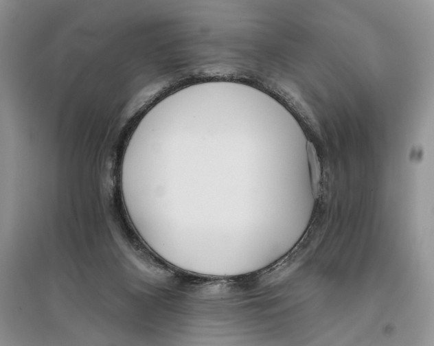 X0000096200116200802151534