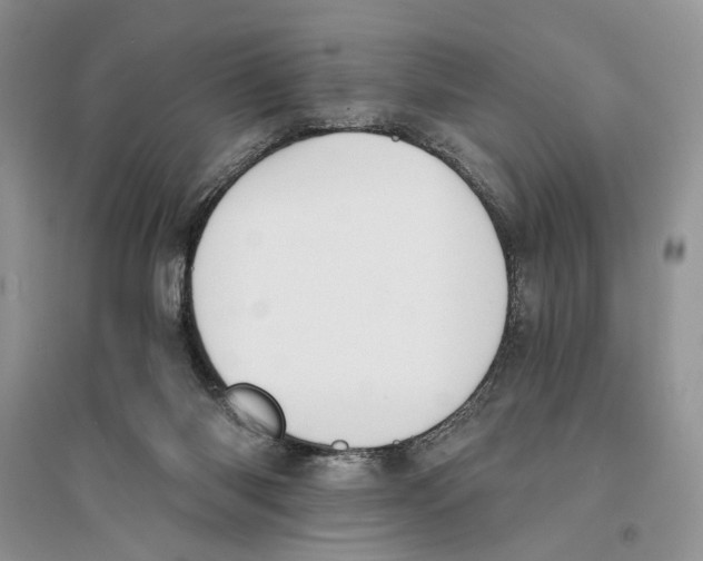 X0000096200118200802151534