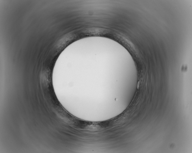 X0000096200119200802151534