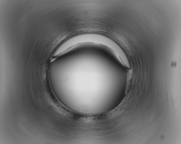 X0000096200120200802151534