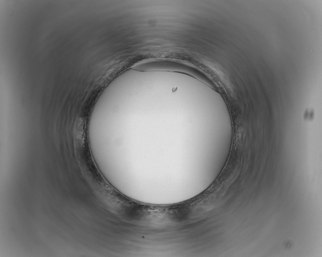 X0000096200121200802151534