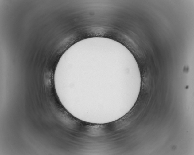 X0000096200122200802151534