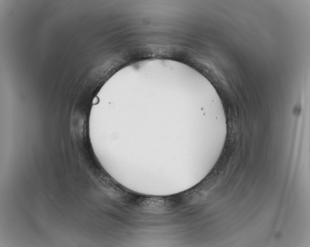 X0000096200123200802151534