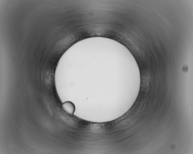 X0000096200126200802151534