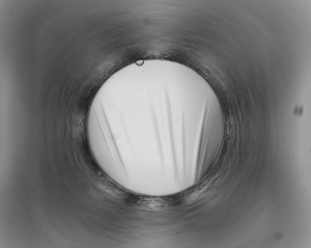 X0000096200127200802151534