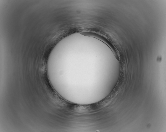 X0000096200129200802151534